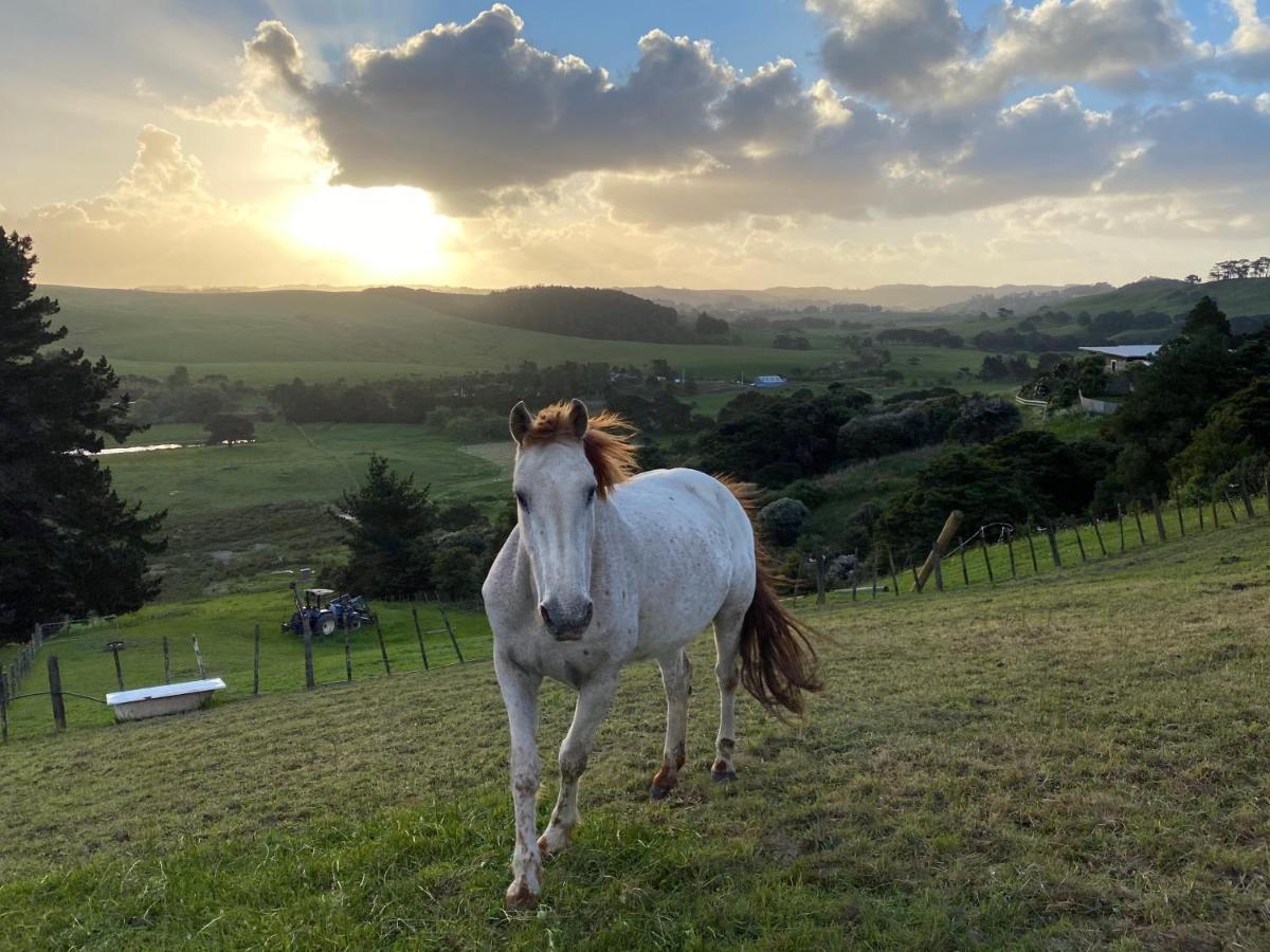 Pukeatua Farmstay Waimauku Exteriör bild