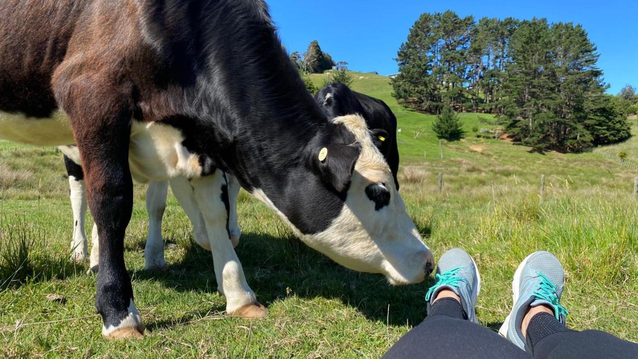 Pukeatua Farmstay Waimauku Exteriör bild