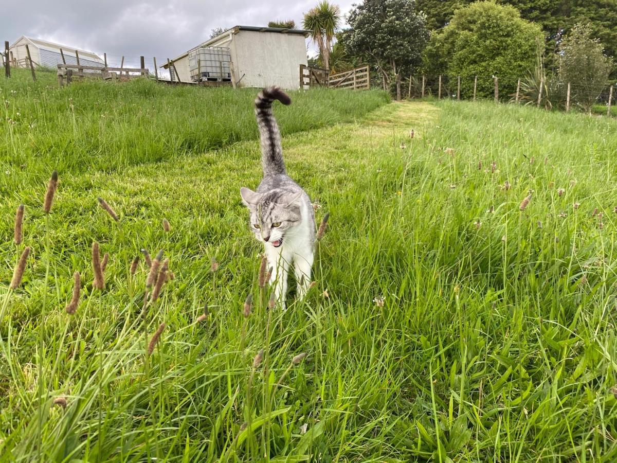 Pukeatua Farmstay Waimauku Exteriör bild