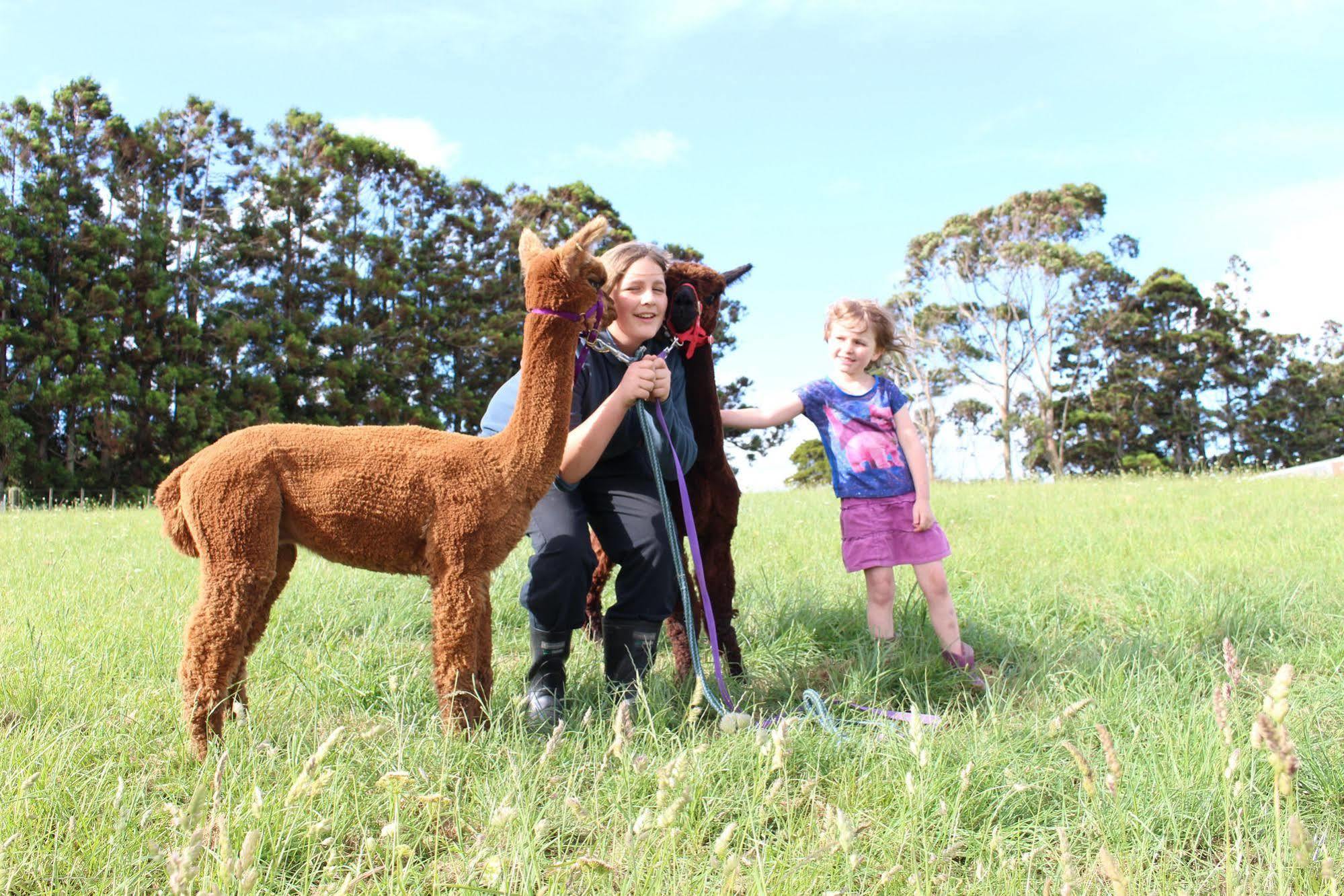Pukeatua Farmstay Waimauku Exteriör bild